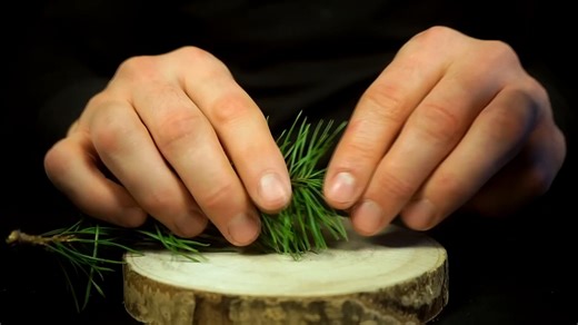 【Surge】ASMR DIY Alchemy at Home