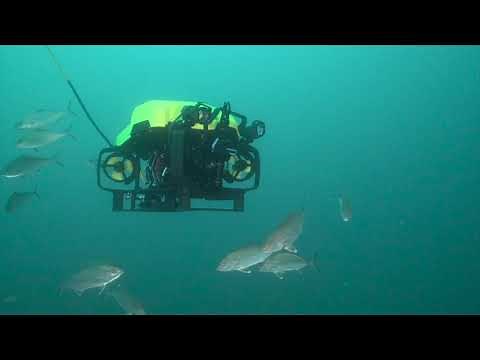 Exail - R7 Compact Observation Class ROV EOD Operations