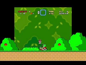 the full widescreen mario experience!