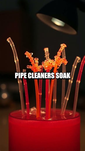 Five Fresh Indoor Experiments for Quick Home Discoveries