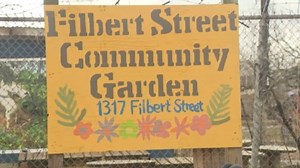 Community organizations partner to provide free WiFi to Curtis Bay neighborhood