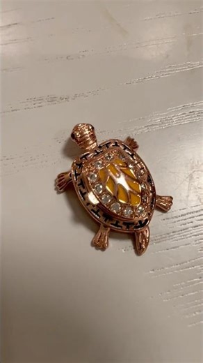 tortoise and turtle @open #Kame no Yakata