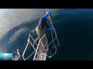 Harpooning the world greatest fish preview! Aperçu sur la pêche au harpon des plus grands poissons!