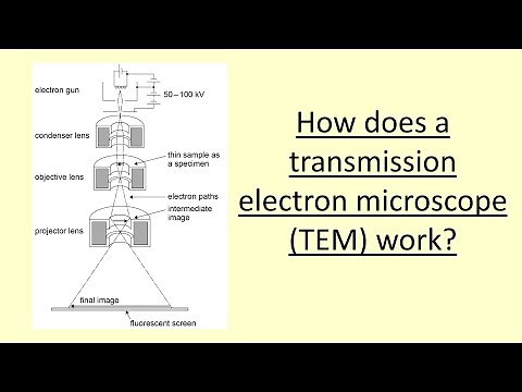 14.16 How does a transmission electron microscope TEM work