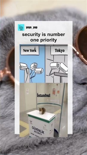 security is number one priority #memes #meme #memesdaily