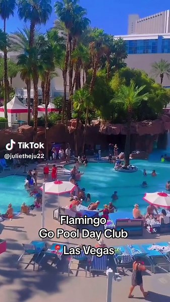 Flamingo Hotel Las Vegas Pool Party Experience