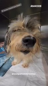 21K views · 1.6K reactions |  Returned to owner  A5643328 ✰...