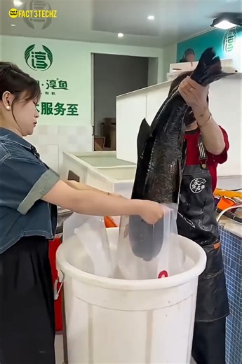 it's amazing live fish oxygen packing l#short #ytshort #fish#shortvideo #amazingfact #fact 3Techz 🤯