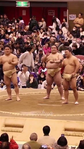 日本の相撲力士の心に響くスピーチ相撲力士が語る人生の言葉