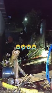 35K views · 547 reactions | Aftermath of the flash flood in Valencia City, Bukidnon. | Mindanao Weather Update | Facebook