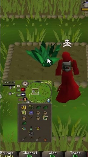 OSRS HOW TO PICK YOUR HERBS AND ALLOTMENTS FASTER THAN INTENDED #osrs #gaming