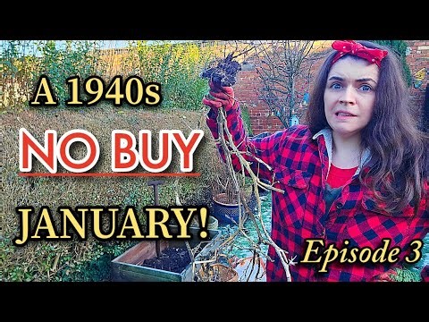 Gentle Frugal Living: Promises to Your Future Self | No Buy January