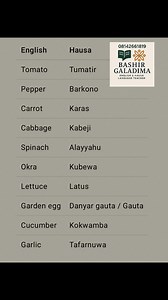 English and hausa words #learn #English #Hausa | Bashir Sunusi Galadima