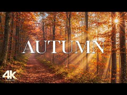 (No Ads) Rich Colors of Early Autumn 4K 🍂 Wander Through Forests, Lakes & Gentle Piano Music