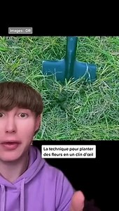 Comment planter des fleurs rapidement