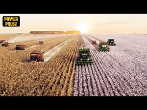 15 Most Amazing And Unique Farms You Won't Believe Exist