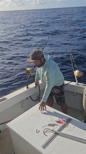 Hawaiian waters are just special! Check out the ahi haul 🤙 🎣 Ocean Addict Hawaii #hawaii #fishing #tunafishing #tuna #fishingbooker | FishingBooker