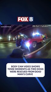 Newly released body camera footage from the Cleveland Division of Police shows the tense moments officers responded to reports of two dogs on Interstate 90 Westbound near Dead Man’s Curve. Read more: https://fox8.com/news/bodycam-video-dogs-rescued-from-dead-mans-curve/ | Fox 8 News
