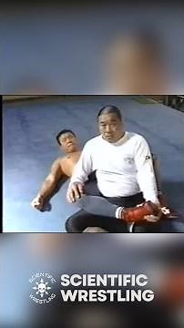 How to Execute Effective Arm Locks: Japanese Martial Arts Demonstration #shorts