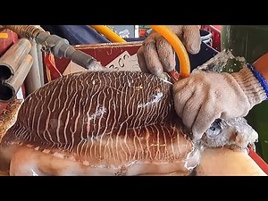 Sashimi Symphony: Live Cuttlefish & Exquisite Fish Cutting Extravaganza! 🦑🔪🐟