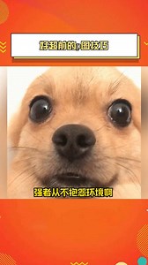图还能这样p啊