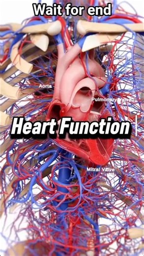 You’ve NEVER Seen Your Heart Like This 😱❤️