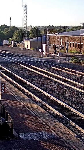 Herzog at Flagstaff, AZ #trains #virtualrailfan #webringthetrainstoyou #railroads #railfans #railfansoftiktok #traintok #FYP #herzog #maintenanceofway