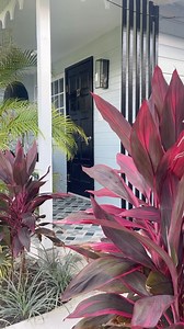 Travellers Beach Resort on Reels