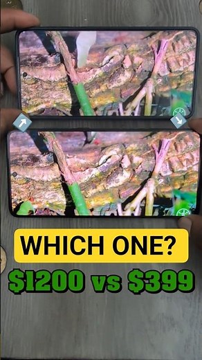 $399 vs $1,200 Screen Test 🤯 (You won't believe it)