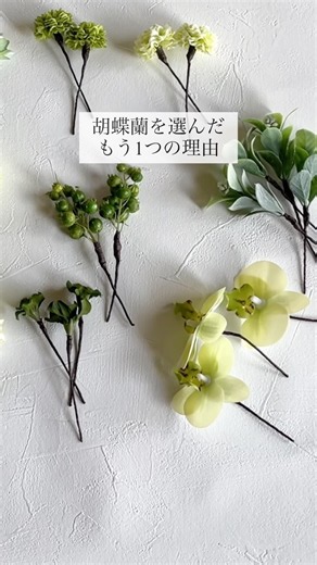 『幸福が飛んでくる』🕊️ 2つの胡蝶蘭が織りなす、最高に品のある組み合わせ