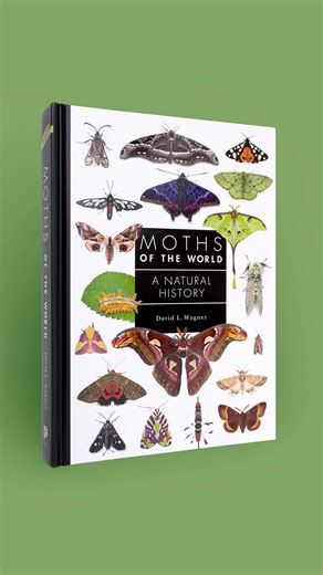 1.3K views · 13 reactions | David Wagner's Moths of the World is a...