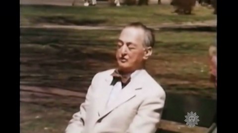 Almanac: Seeing eye dogs