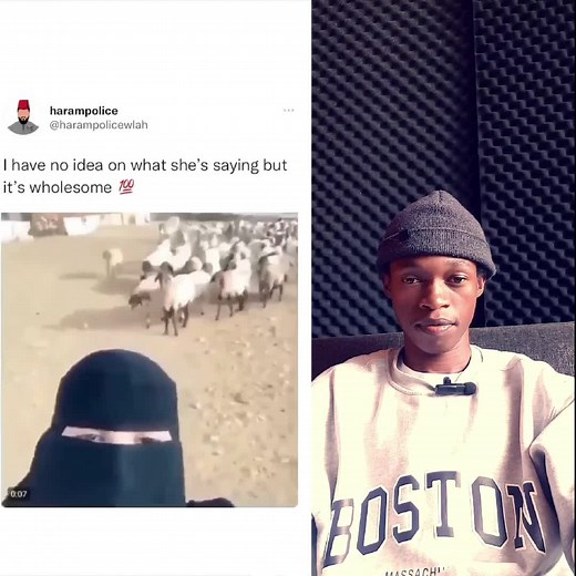 Alicious Ali (@alicious_ali_official)’s videos with original sound - Alicious Ali