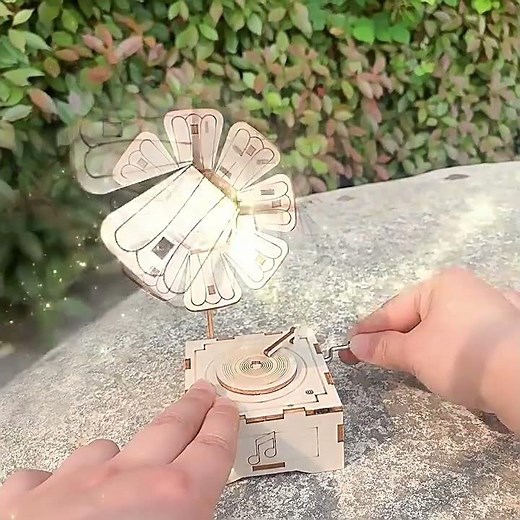 Wooden Phonograph Music Box Kit Science