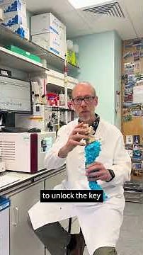 Scientists find a new way coronaviruses can get into human cells