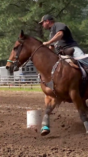 #nsca #omoksee #horse #rodeo #westernmedia #western #westernriding #aqha #youtubeshorts #subscribe