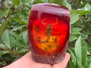 Resin Crystal Scorpion Specimen: Hand Carved Skull, Home Decor Gift - Etsy