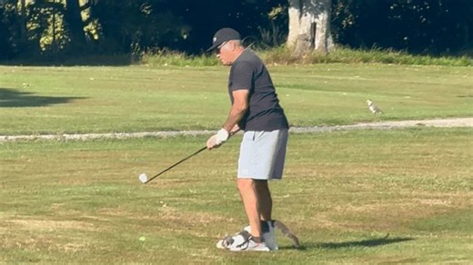 Golfer lands himself a kitty rather than a birdie on course