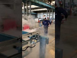 Disinfektion pulsFOG Thermal Fogger