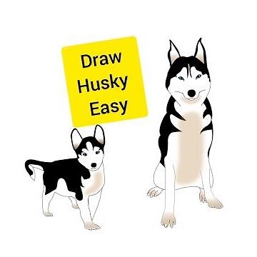 How To Draw A husky Easy