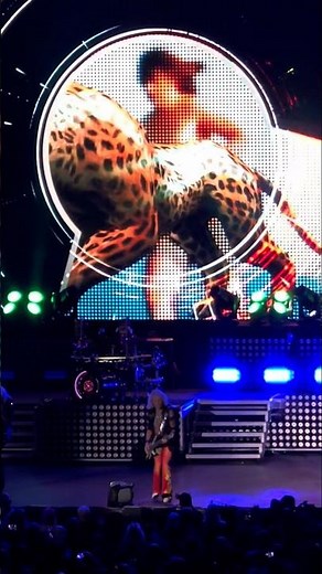 Def Leppard - Animal LIVE CLIP - Albuquerque, New Mexico (Aug 12, 2025)