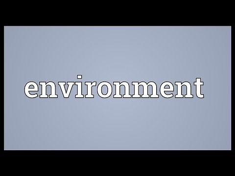 Environment Meaning