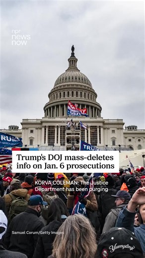 The Department of Justice has been purging government websites of information about prosecutions related to the Jan. 6, 2021, attack on the U.S. Capitol, including information about violent assaults of police that day. Late last week, the Justice Department said it was “proud” to purge its website of what it called “partisan propaganda,” including the deleting of news releases about Jan. 6 prosecutions — including cases where rioters were convicted of carrying guns and assaulting police with pep