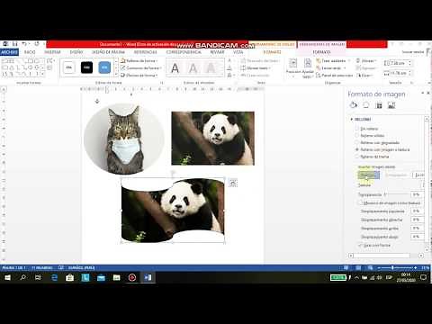 Como colocar una imagen dentro de una forma en Word