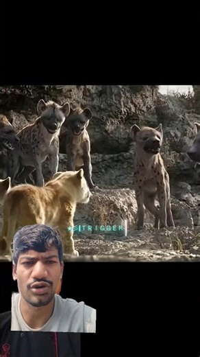 The little two daby Lion King/#shorts #kdrama#trending #youtubeshorts Tools lion#shorts #shortsfeed