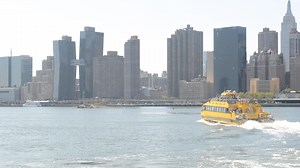 American Copper | SHoP