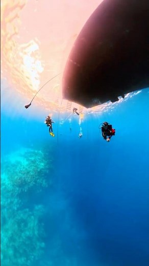360: you're Scuba Diving off the Roatan Aggressor Liveaboard #scubadiving 🇭🇳