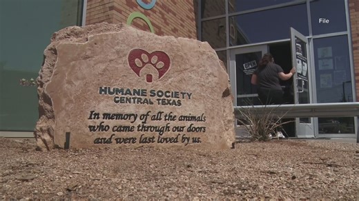 'We can no longer continue' | Humane Society of Central Texas explains why they decided to leave the Waco Animal Shelter