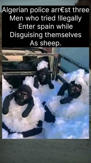 Algerian police arr€st three men….#shorts
