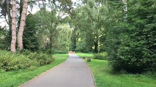 Tourcoing : promenade au parc de l’Yser